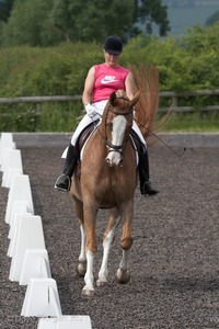 ISIS Dressage Challenge 2008